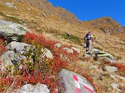 38 Sul sentiero per Bocchetta di Budria